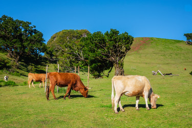 Similar image 21872730