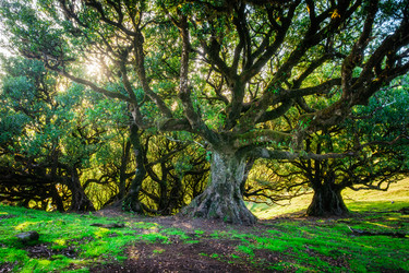 Similar image 21872736