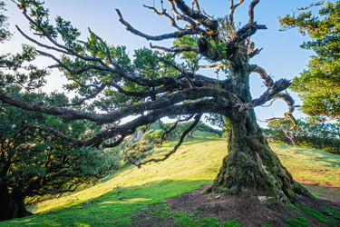 Similar image 21872743