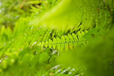 Similar image 21874439