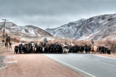 Similar image 21874440