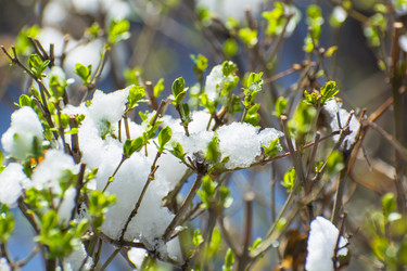 Similar image 21874442