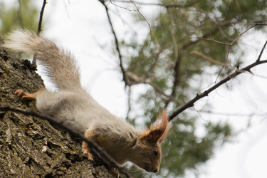 Similar image 21874449