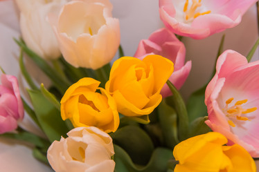 Similar image 21874472