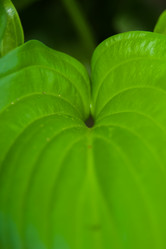 Similar image 21874475