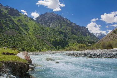 Similar image 21874476