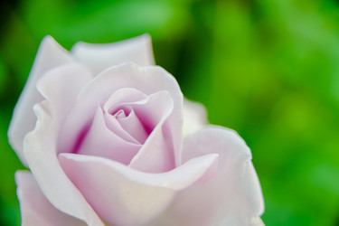 Similar image 21874477