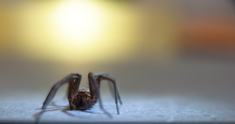 Similar image 21874479