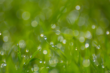 Similar image 21874480