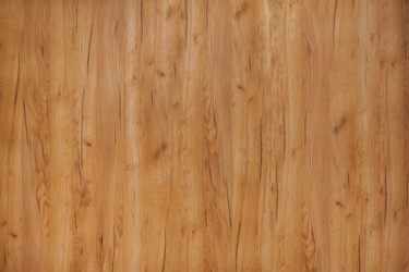 Similar image 21874482