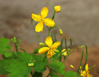 Similar image 21871752