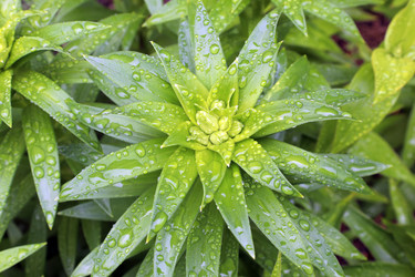 Similar image 21871753