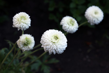 Similar image 21871755