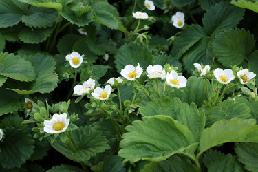 Similar image 21871756