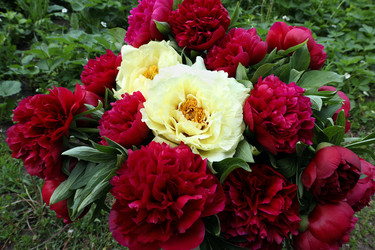 Similar image 21871757