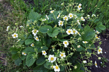 Similar image 21871759