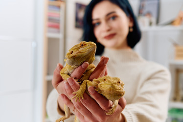 Similar image 21877992