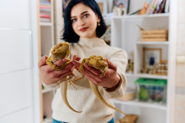 Similar image 21878004