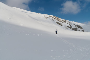 Similar image 21878022