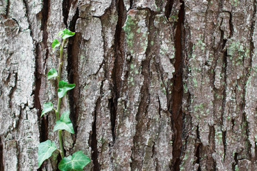 Similar image 21872752