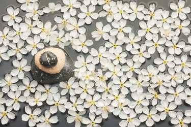 Similar image 21872801