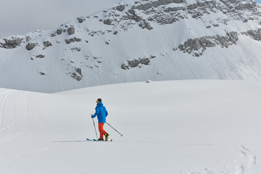 Similar image 21878288