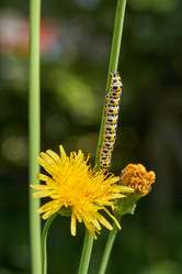 Similar image 21871730