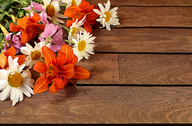 Similar image 21872110