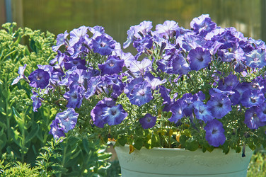 Similar image 21874131