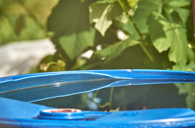 Similar image 21874134