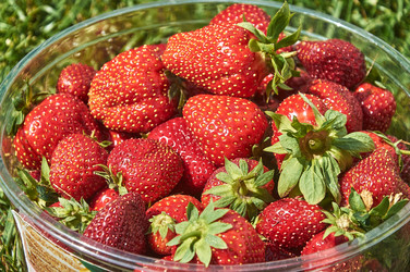 Similar image 21874137