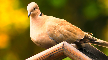 Similar image 21872138