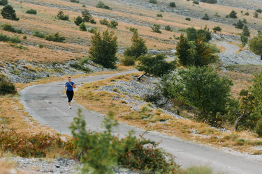 Similar image 21878160