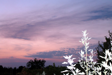 Similar image 21871981