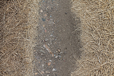 Similar image 21871983