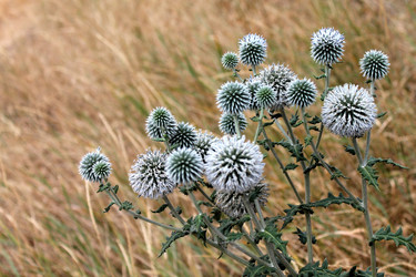 Similar image 21871985