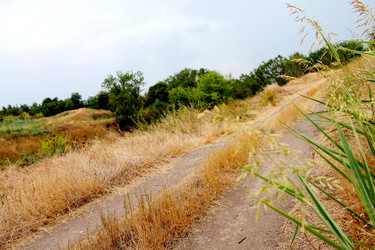 Similar image 21871986