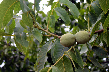 Similar image 21871988