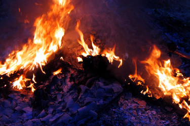 Similar image 21871989