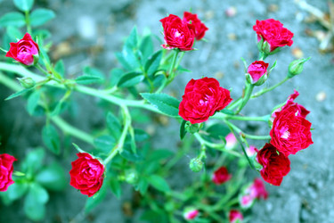 Similar image 21871990