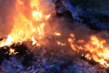 Similar image 21871991