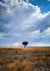 Similar image 21872818