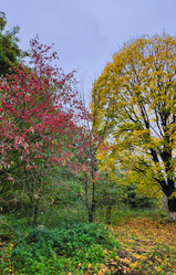 Similar image 21872304