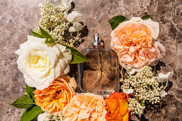 Similar image 21872522