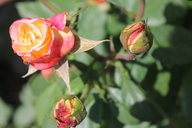 Similar image 21872141