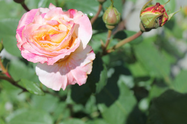 Similar image 21872142