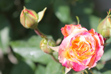 Similar image 21872143