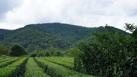 Similar image 21872305