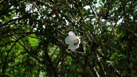 Similar image 21872306