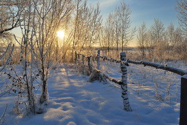 Similar image 21872539